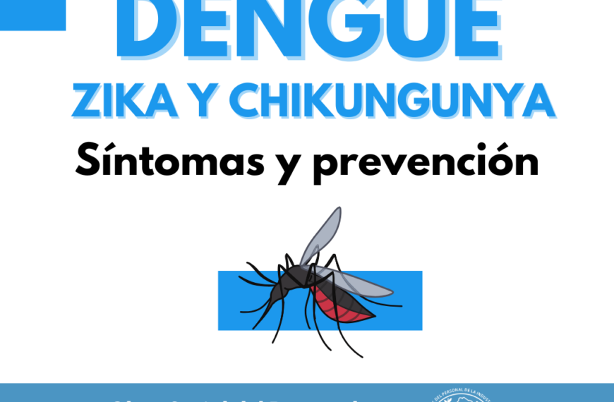 Dengue: prevención y síntomas